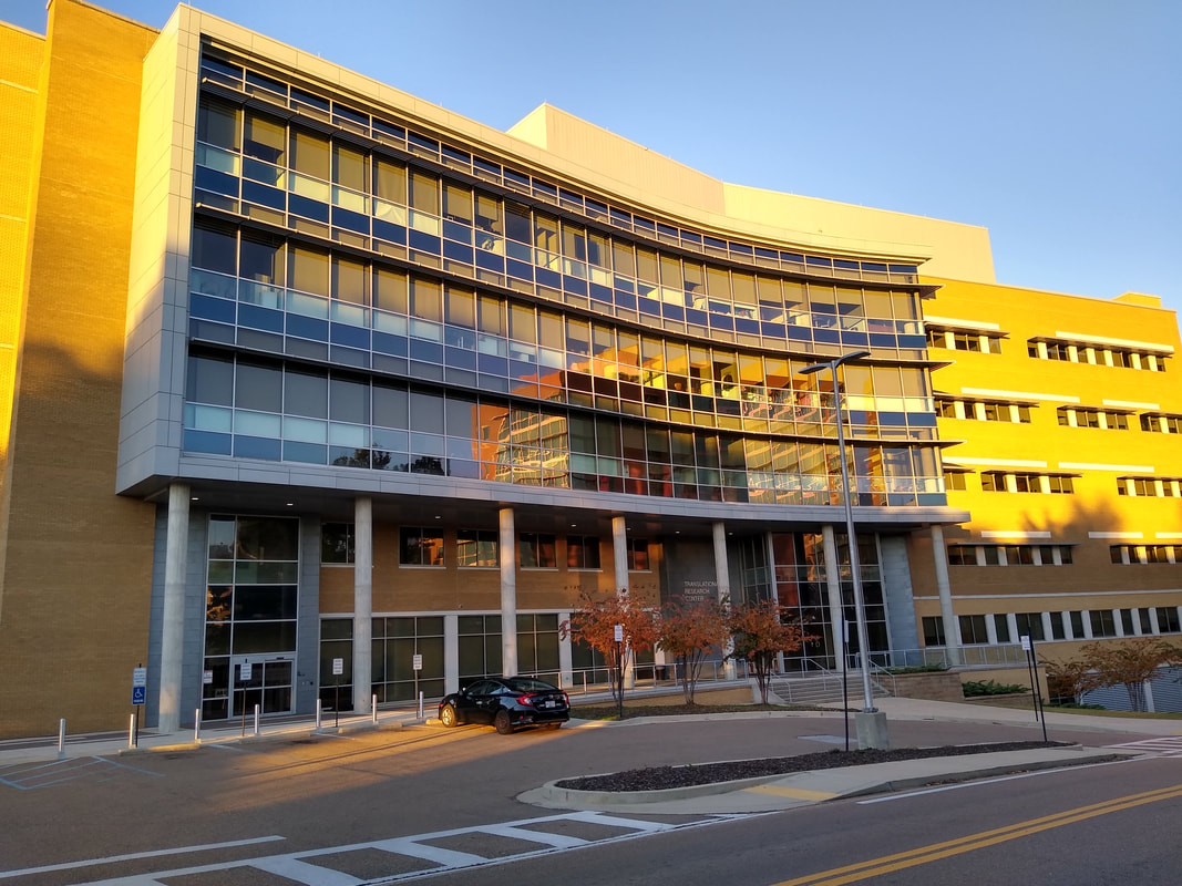 Medical District Jackson