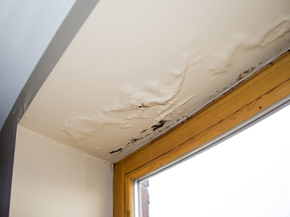 Humidity Damage Roof Repair